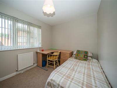 Picture 13